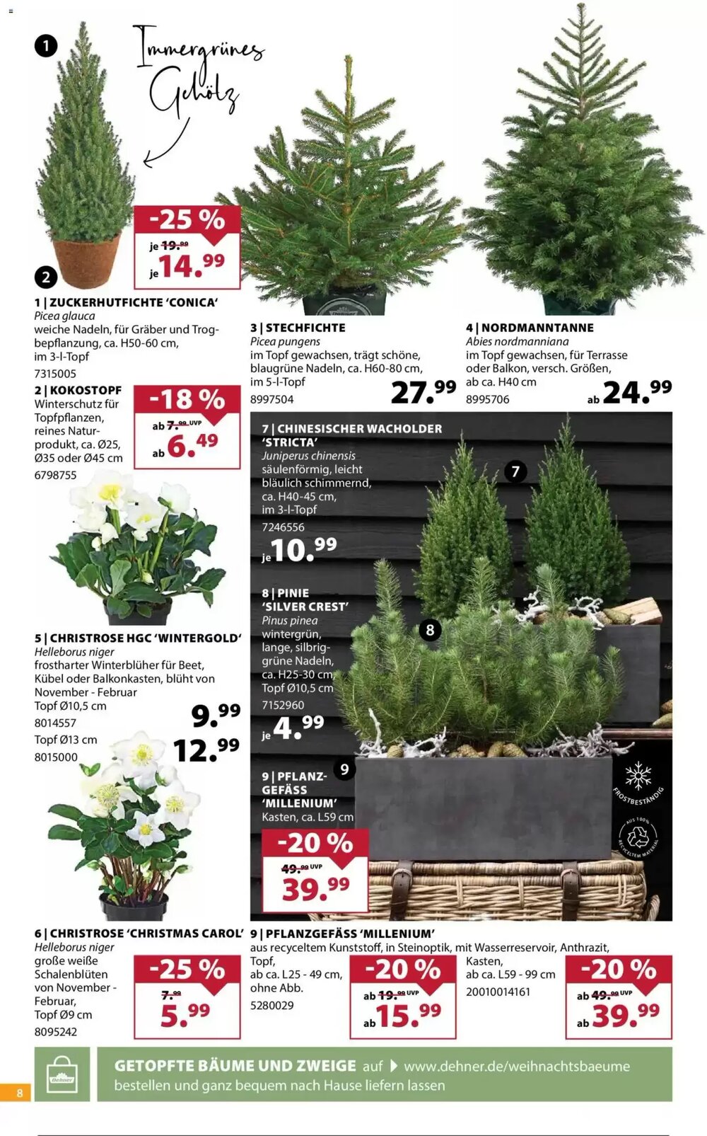 Dehner Prospekt (ab 19.11.2025) zum Blättern - Seite 8