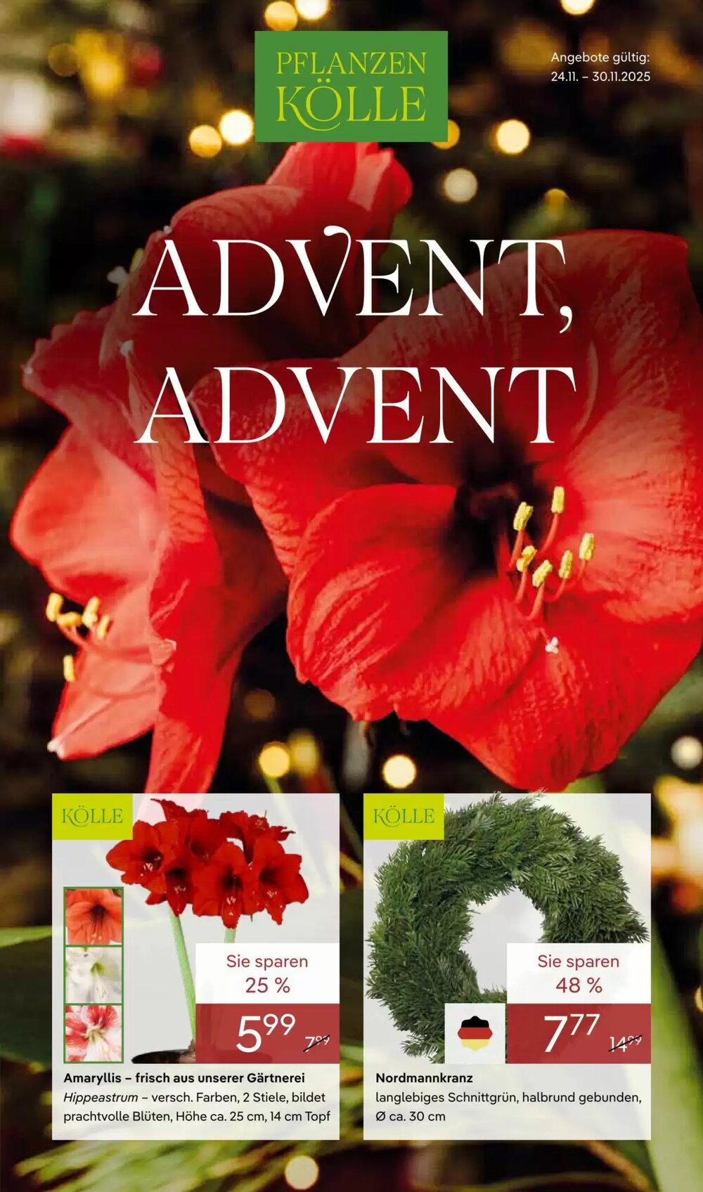 Pflanzen Kölle Prospekt (ab 24.11.2025) zum Blättern - Seite 1