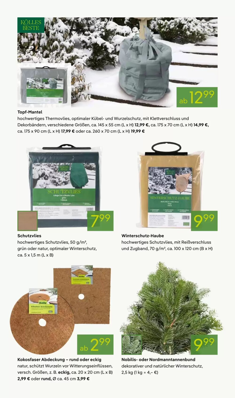 Pflanzen Kölle Prospekt (ab 24.11.2025) zum Blättern - Seite 12