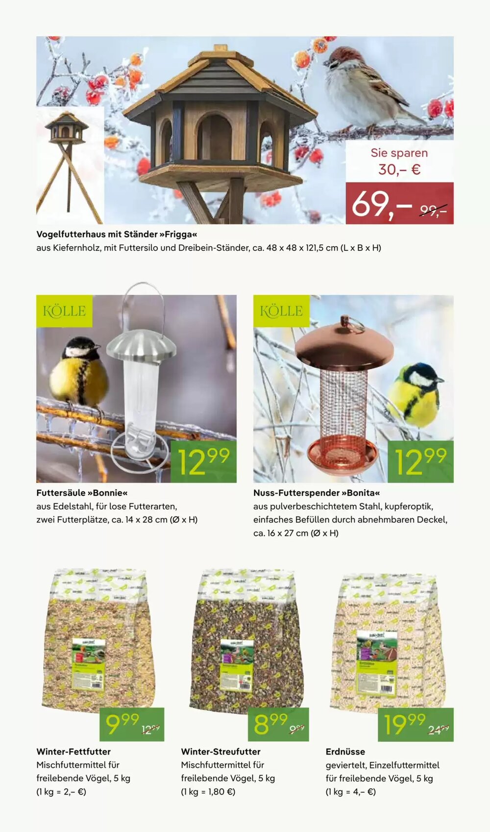 Pflanzen Kölle Prospekt (ab 24.11.2025) zum Blättern - Seite 13