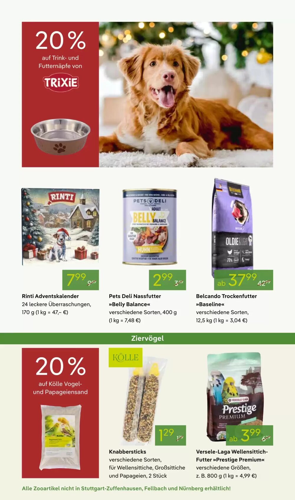 Pflanzen Kölle Prospekt (ab 24.11.2025) zum Blättern - Seite 14