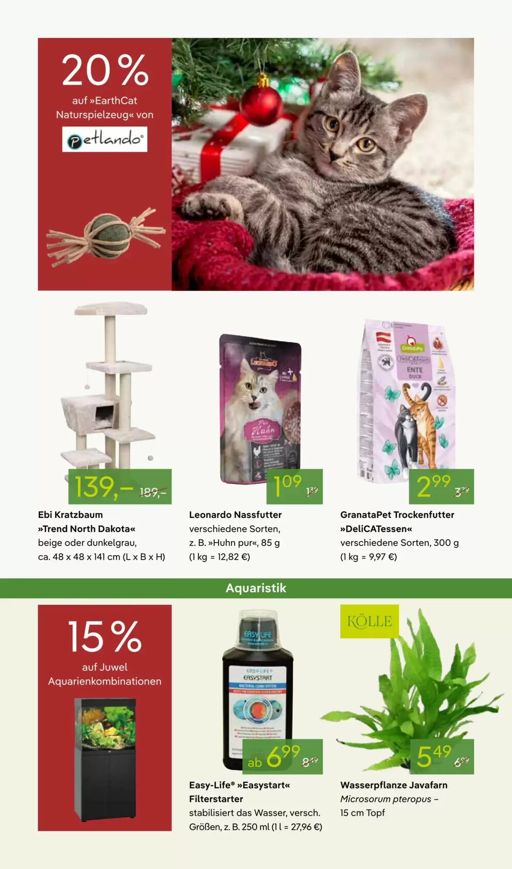 Pflanzen Kölle Prospekt (ab 24.11.2025) zum Blättern - Seite 15