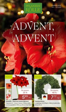 Pflanzen Kölle Prospekt (ab 24.11.2025) zum Blättern