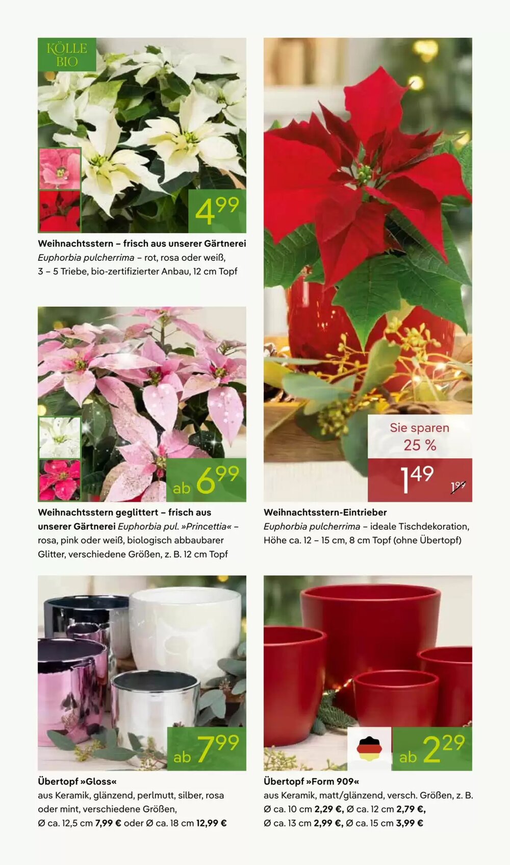 Pflanzen Kölle Prospekt (ab 24.11.2025) zum Blättern - Seite 3