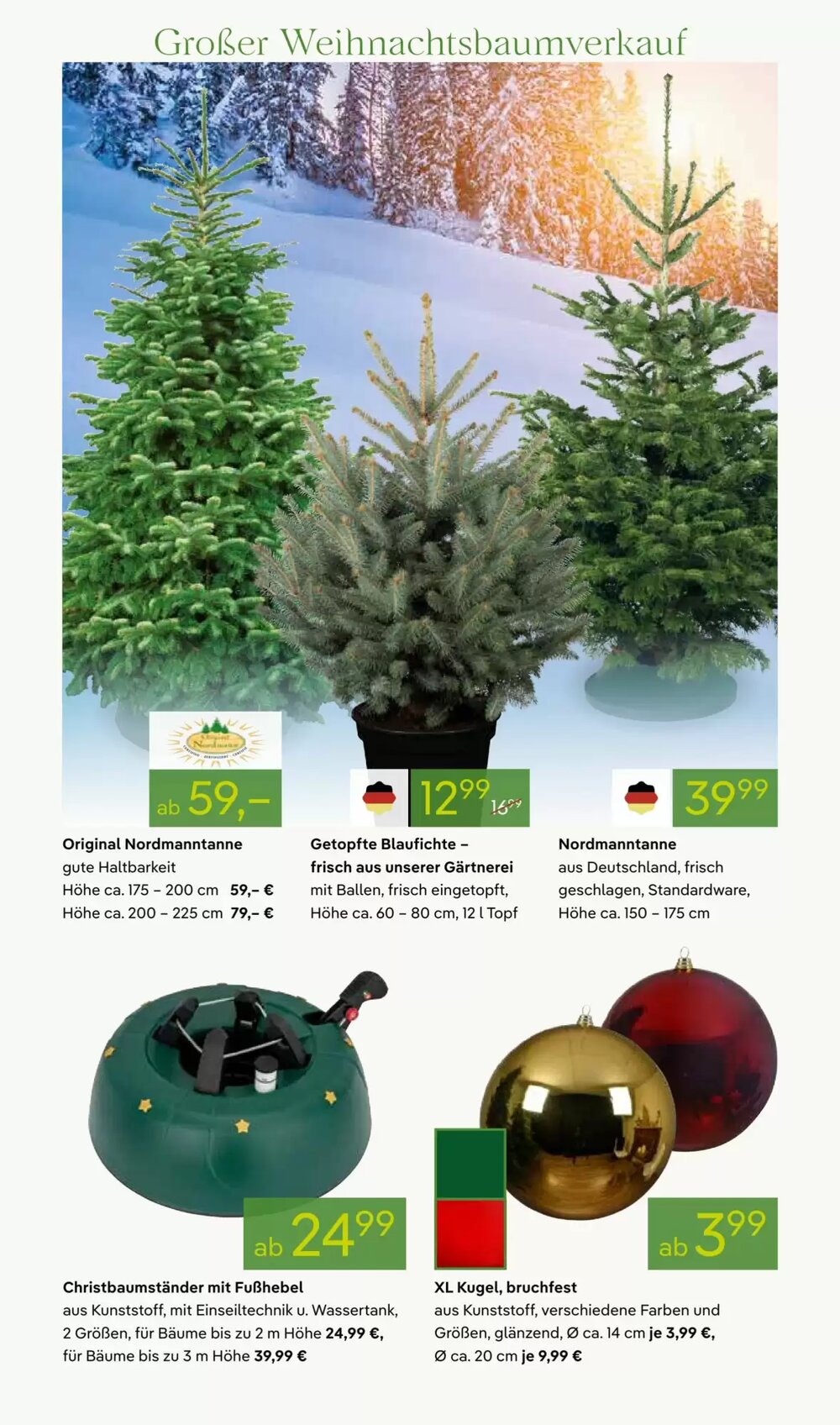 Pflanzen Kölle Prospekt (ab 24.11.2025) zum Blättern - Seite 6