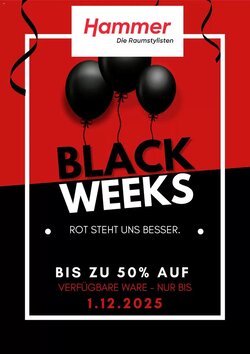 Hammer Prospekt (ab 25.11.2025) zum Blättern