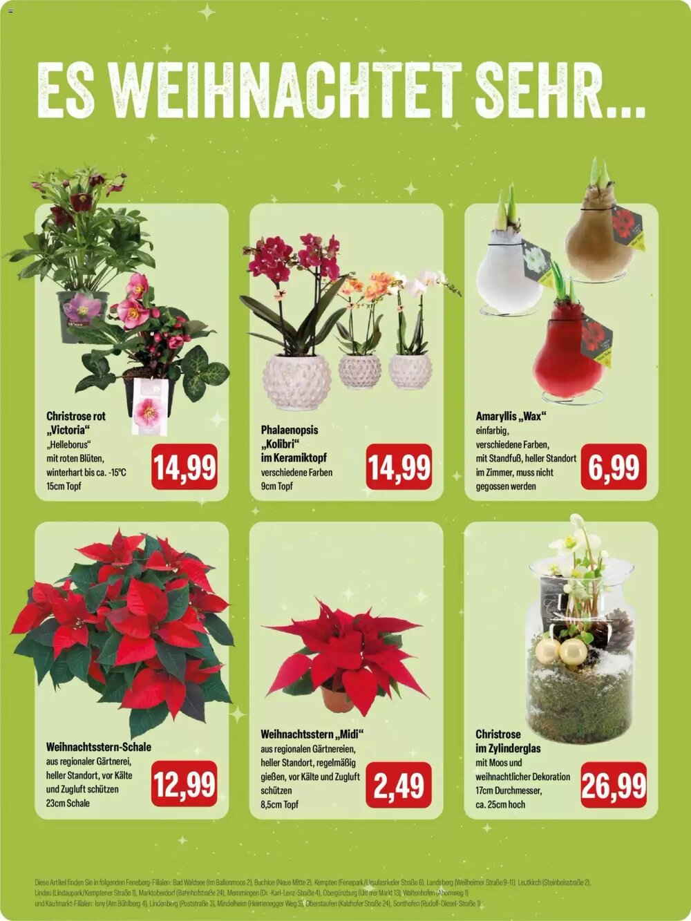 Feneberg Prospekt (ab 27.11.2025) zum Blättern - Seite 14