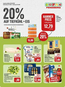 Feneberg Prospekt (ab 27.11.2025) zum Blättern