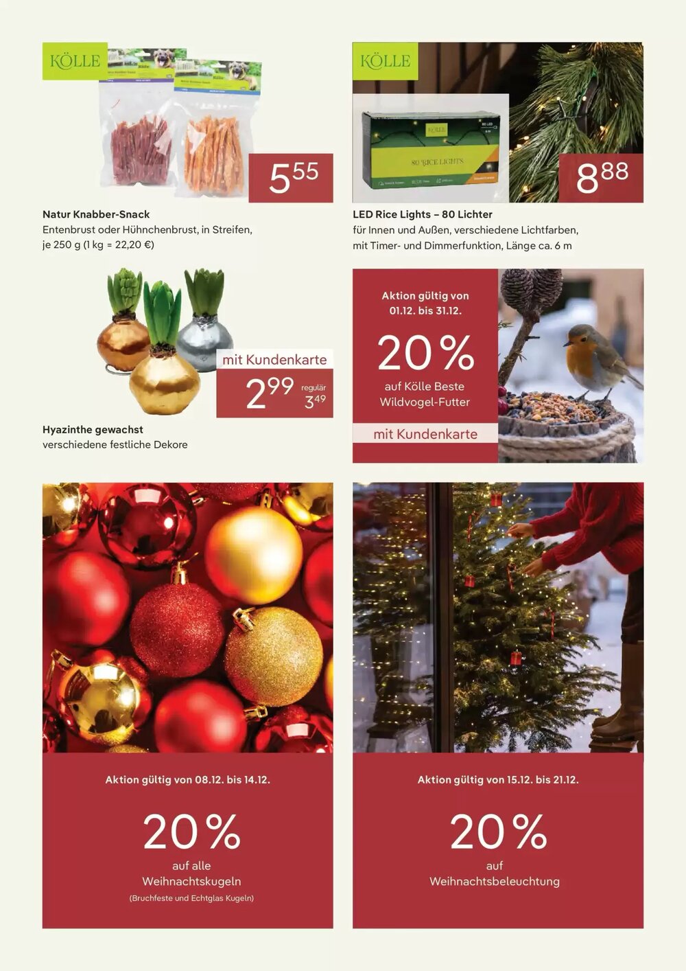 Pflanzen Kölle Prospekt (ab 30.11.2025) zum Blättern - Seite 2