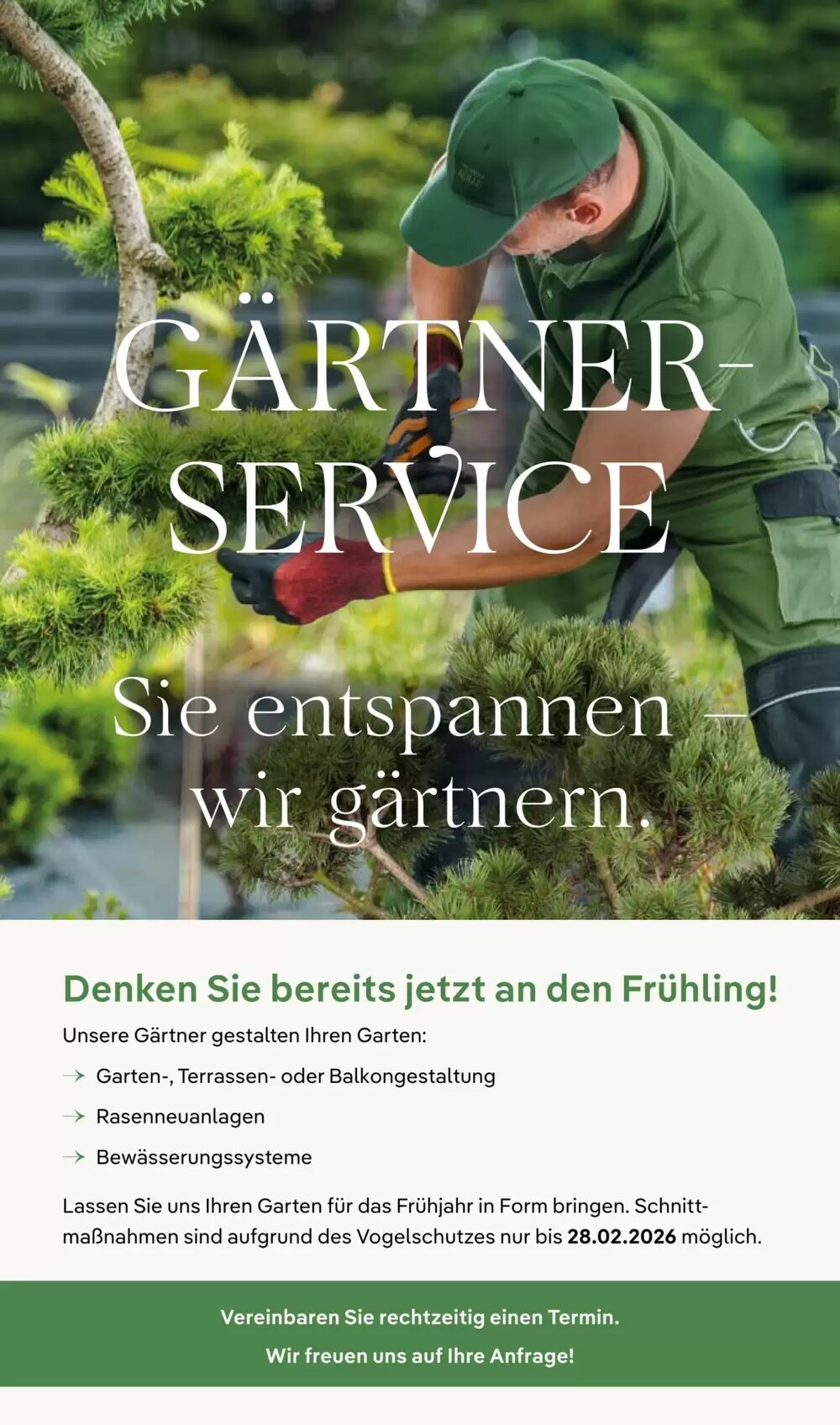 Pflanzen Kölle Prospekt (ab 01.12.2025) zum Blättern - Seite 10