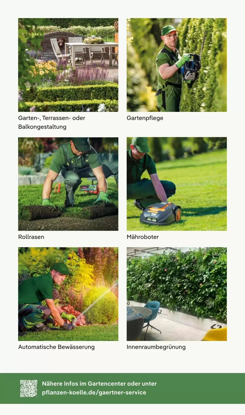 Pflanzen Kölle Prospekt (ab 01.12.2025) zum Blättern - Seite 11