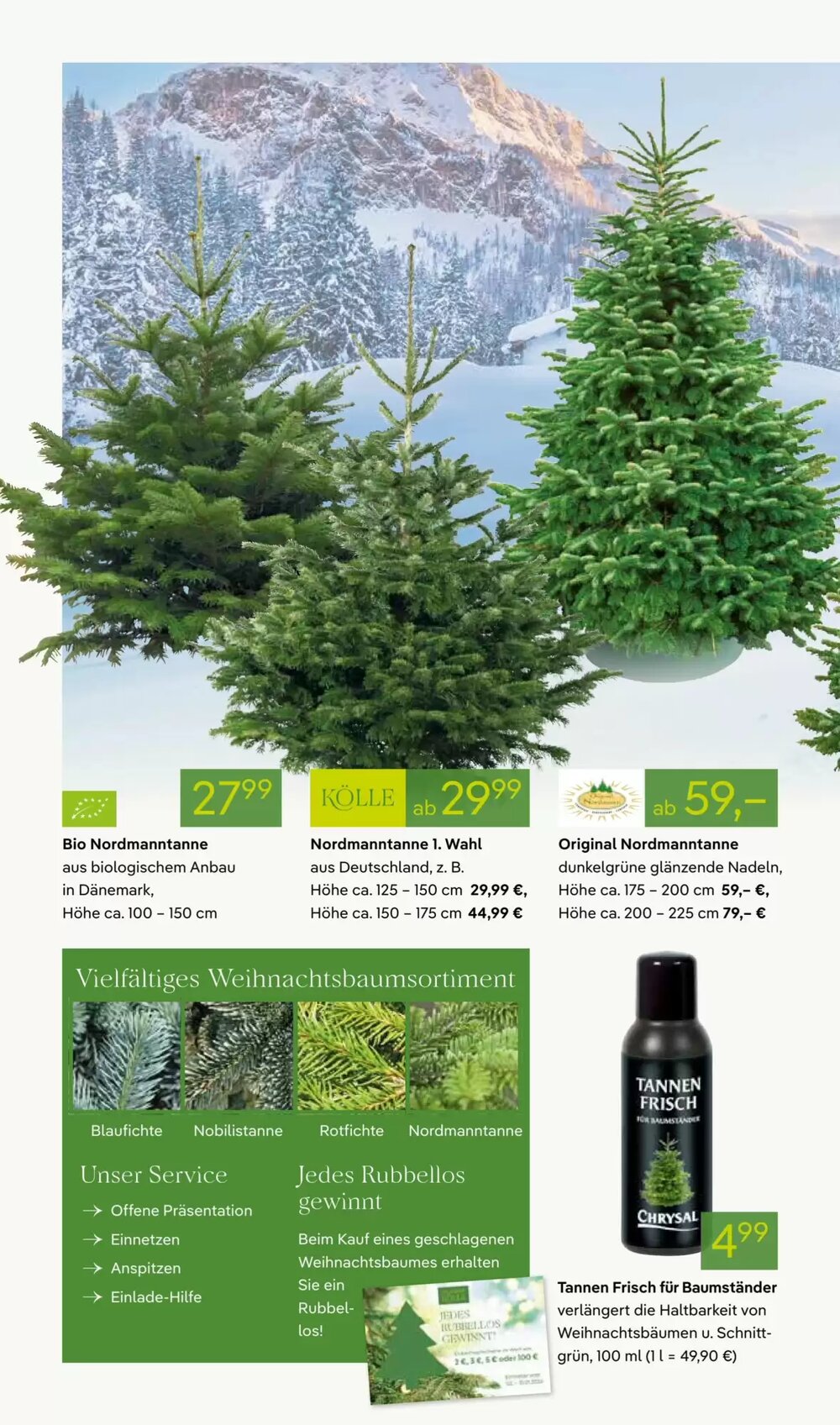 Pflanzen Kölle Prospekt (ab 01.12.2025) zum Blättern - Seite 2