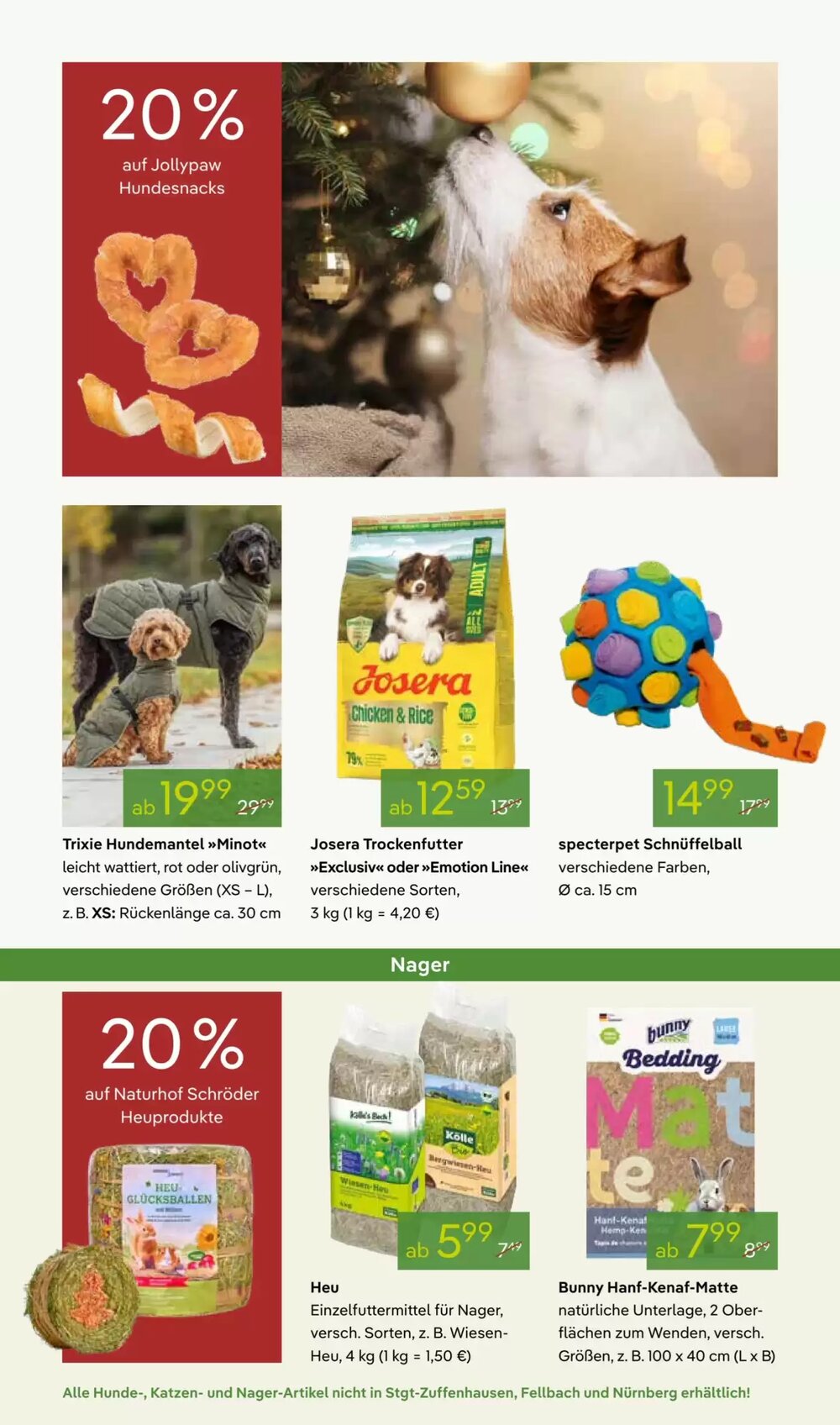 Pflanzen Kölle Prospekt (ab 01.12.2025) zum Blättern - Seite 8