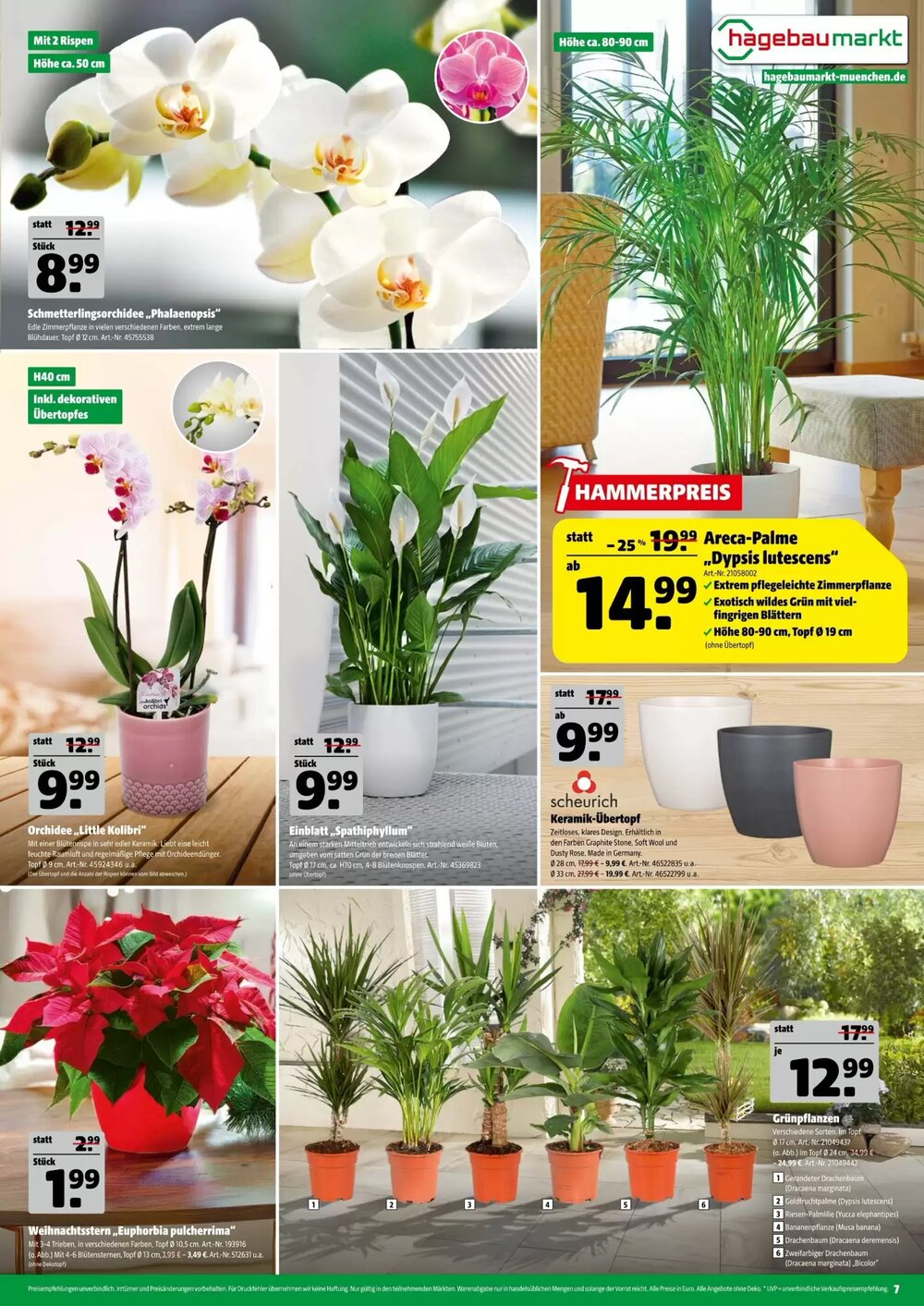 Hagebau Prospekt (ab 06.12.2025) zum Blättern - Seite 7