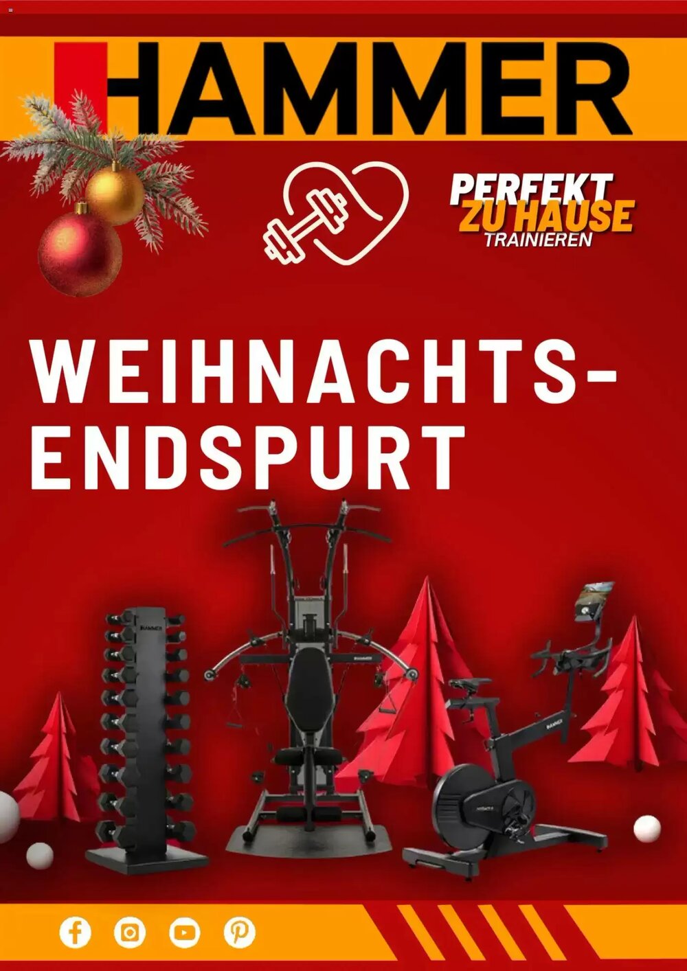Hammer Prospekt (ab 08.12.2025) zum Blättern - Seite 1