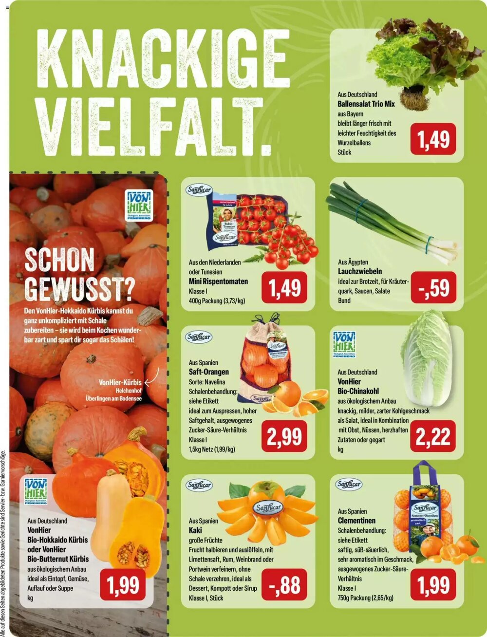 Feneberg Prospekt (ab 11.12.2025) zum Blättern - Seite 5