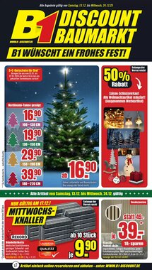 B1 Discount Baumarkt Prospekt (ab 13.12.2025) zum Blättern