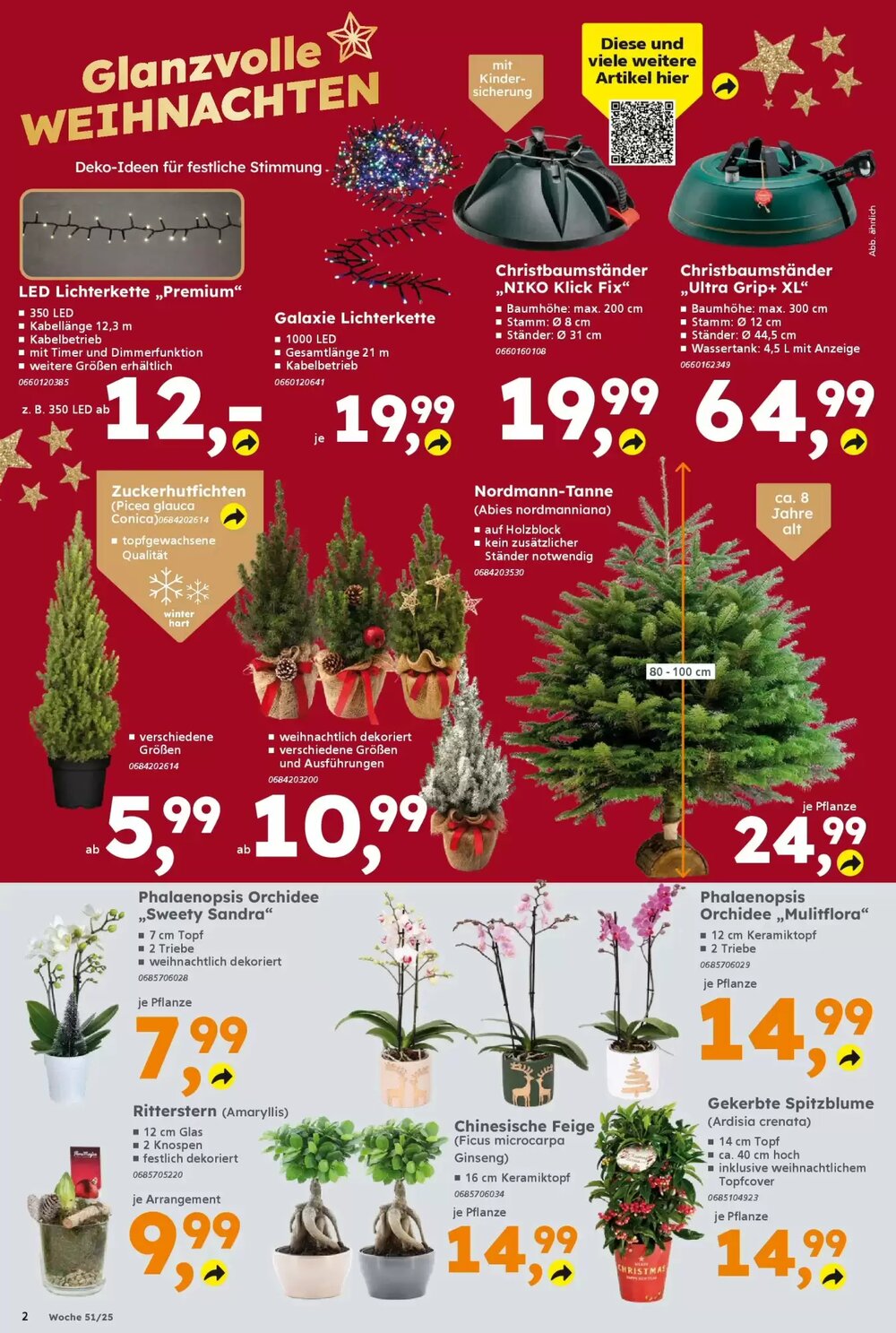 Globus Baumarkt Prospekt (ab 14.12.2025) zum Blättern - Seite 2