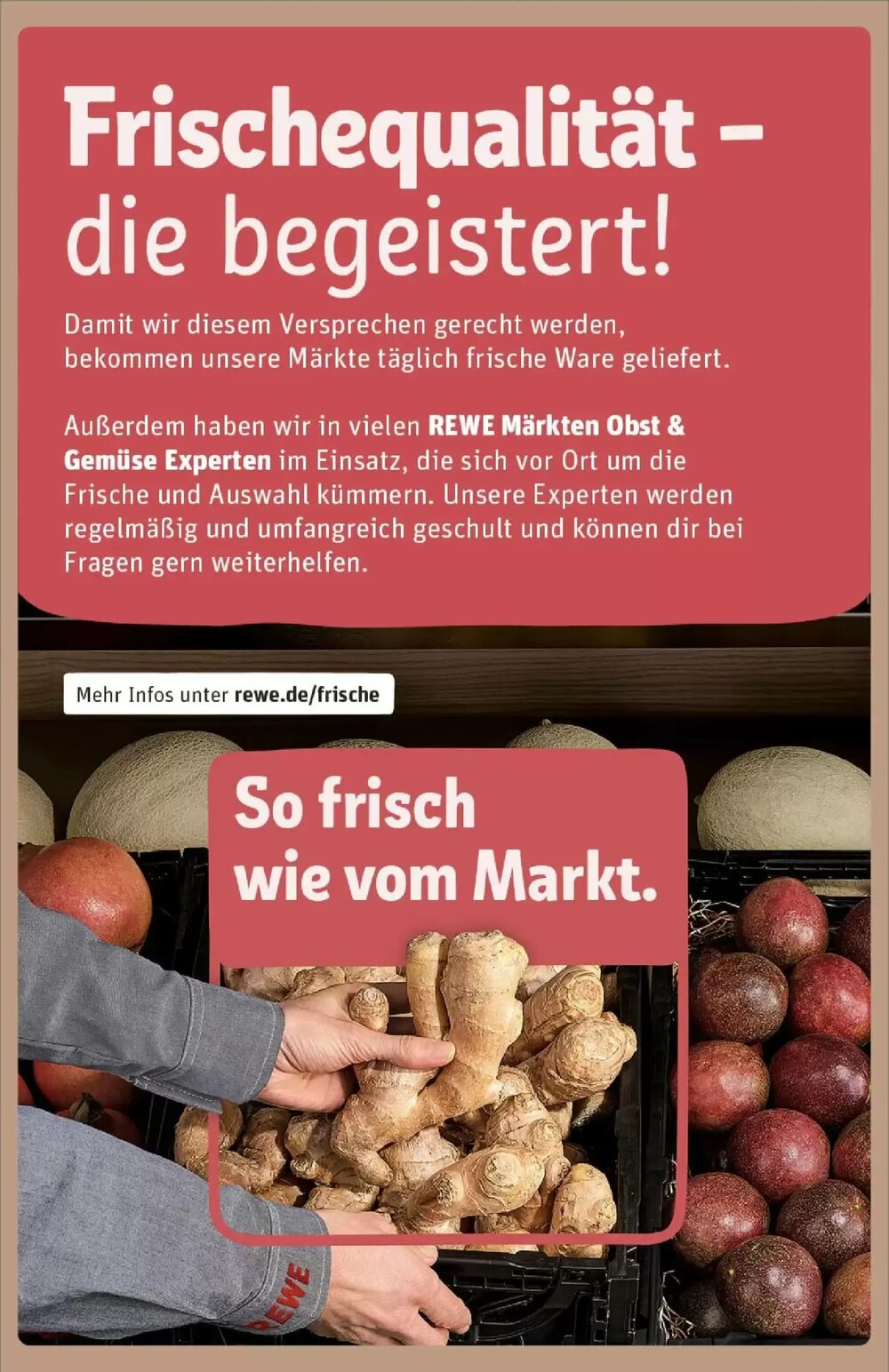REWE Prospekt (ab 21.12.2025) zum Blättern - Seite 27