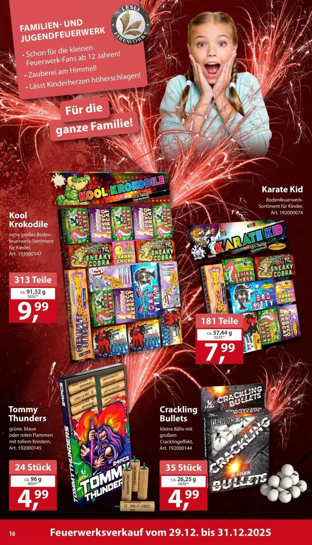 Sonderpreis Baumarkt Prospekt (ab 27.12.2025) zum Blättern - Seite 16