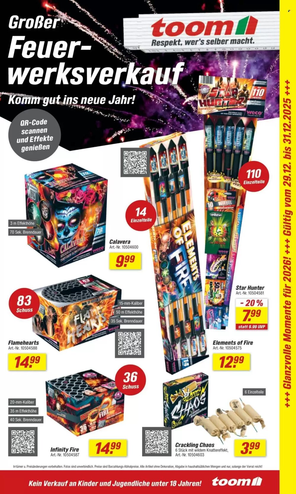 toom Baumarkt Prospekt (ab 27.12.2025) zum Blättern - Seite 3