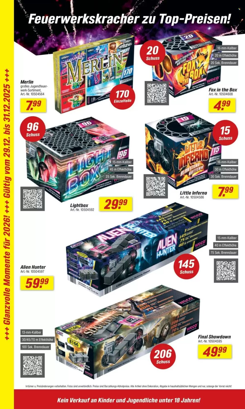 toom Baumarkt Prospekt (ab 27.12.2025) zum Blättern - Seite 4