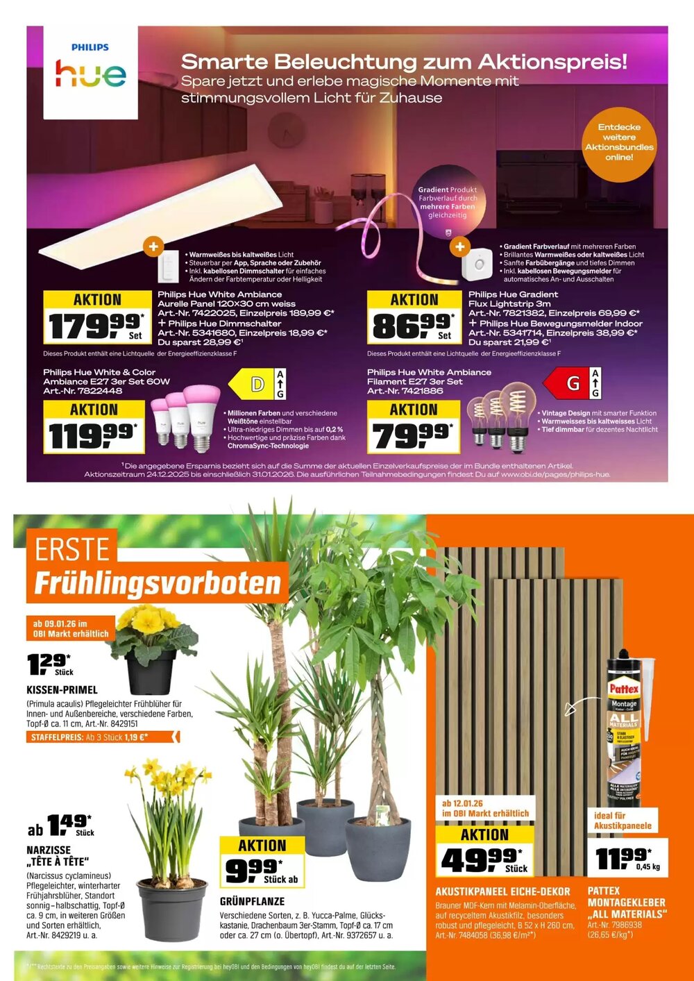 OBI Prospekt (ab 27.12.2025) zum Blättern - Seite 9