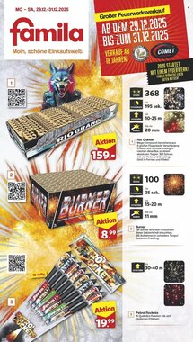 Famila Nord Ost Prospekt (ab 29.12.2025) zum Blättern
