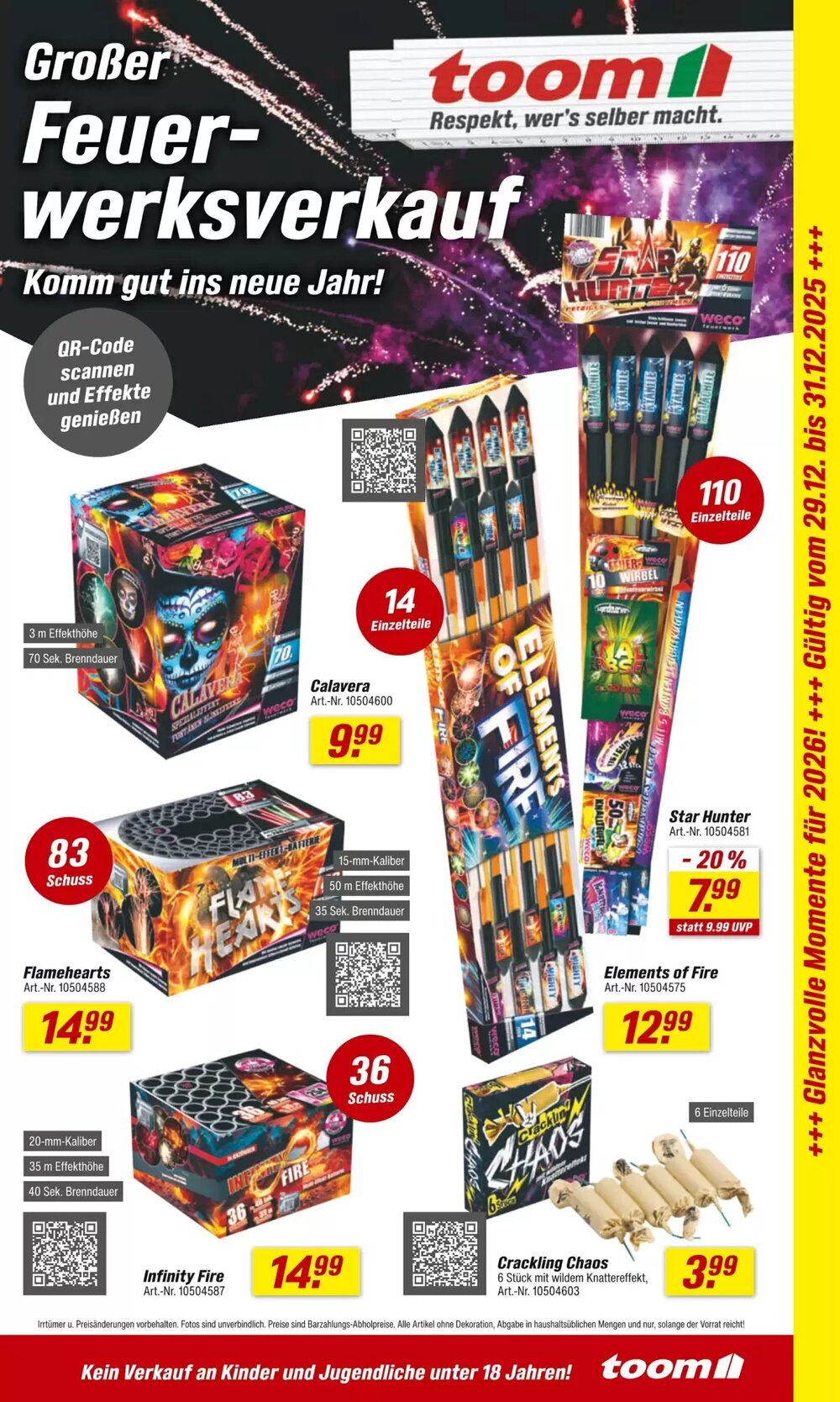 toom Baumarkt Prospekt (ab 29.12.2025) zum Blättern - Seite 1