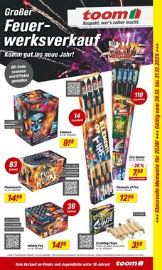 toom Baumarkt Prospekt (ab 29.12.2025) zum Blättern