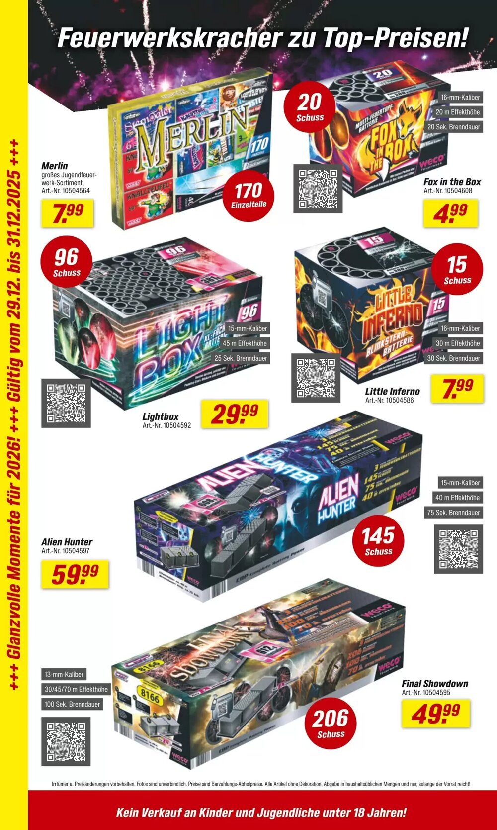 toom Baumarkt Prospekt (ab 29.12.2025) zum Blättern - Seite 2