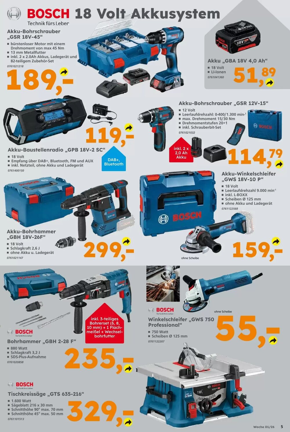 Globus Baumarkt Prospekt (ab 29.12.2025) zum Blättern - Seite 5