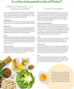 Globus Prospekt (ab 01.01.2026) zum Blättern - Seite 13