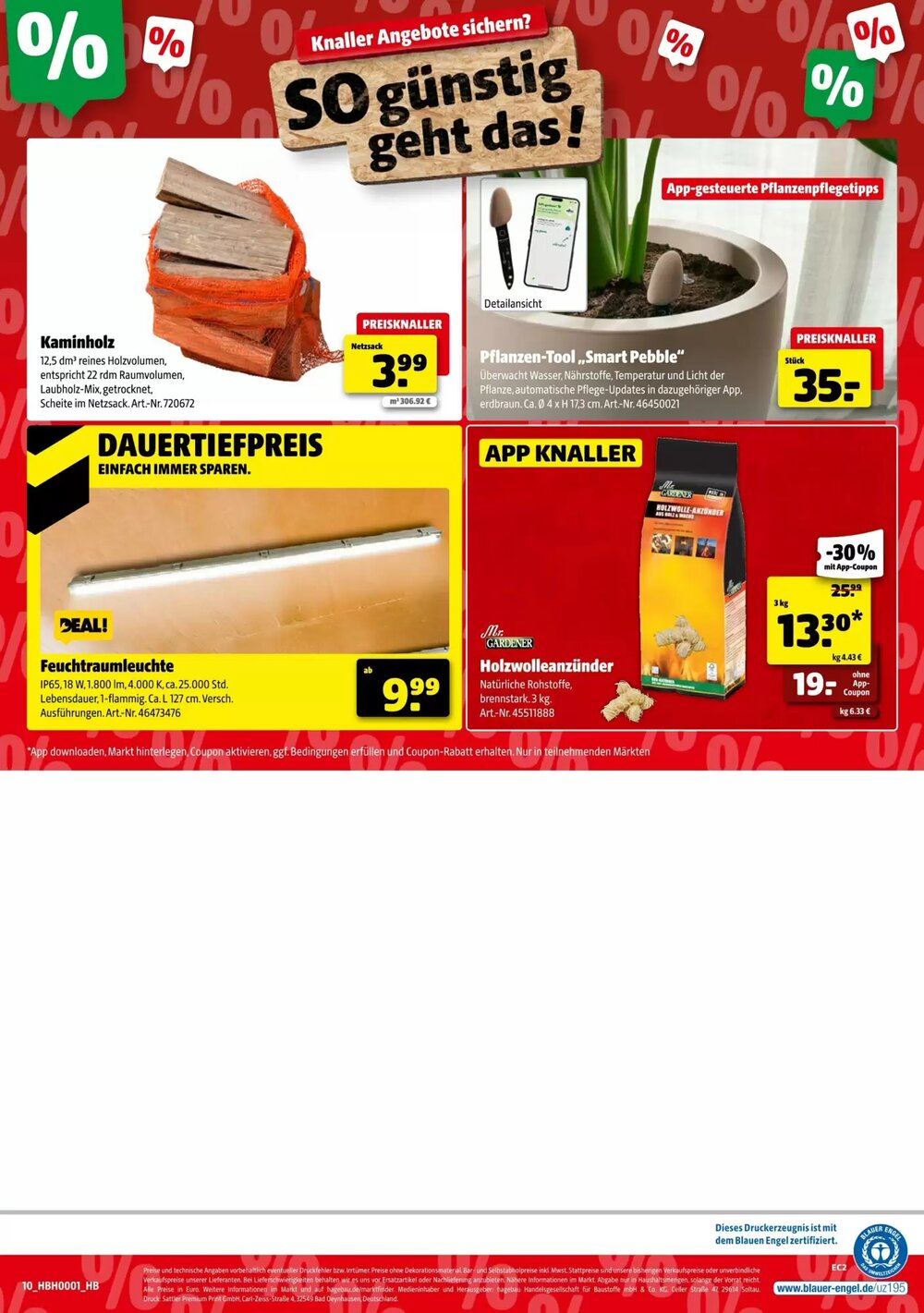 Hagebau Prospekt (ab 03.01.2026) zum Blättern - Seite 10