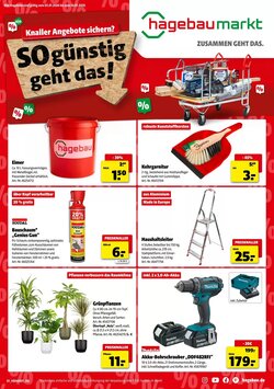 Hagebau Prospekt (ab 03.01.2026) zum Blättern - Seite 1