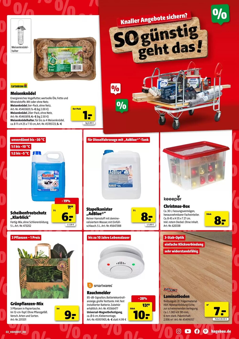 Hagebau Prospekt (ab 03.01.2026) zum Blättern - Seite 3