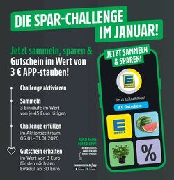 Marktkauf Prospekt (ab 04.01.2026) zum Blättern - Seite 33
