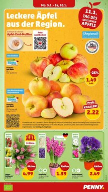 PENNY Prospekt (ab 05.01.2026) zum Blättern - Seite 3