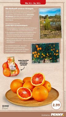PENNY Prospekt (ab 05.01.2026) zum Blättern - Seite 5