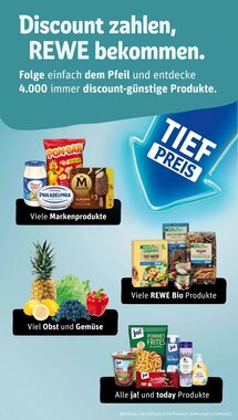 REWE PETZ Prospekt (ab 05.01.2026) zum Blättern - Seite 13