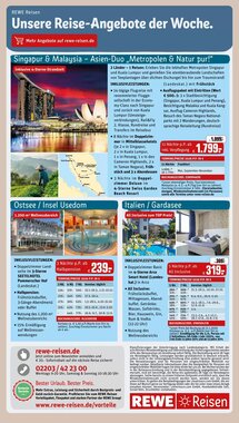 REWE PETZ Prospekt (ab 05.01.2026) zum Blättern - Seite 31