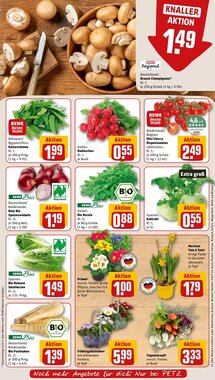 REWE PETZ Prospekt (ab 05.01.2026) zum Blättern - Seite 7