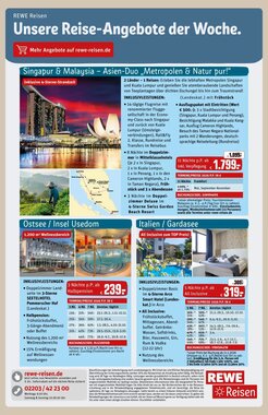 REWE Prospekt (ab 05.01.2026) zum Blättern - Seite 29