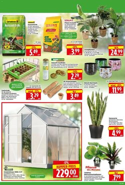 Edeka Herkules Prospekt (ab 05.01.2026) zum Blättern - Seite 2