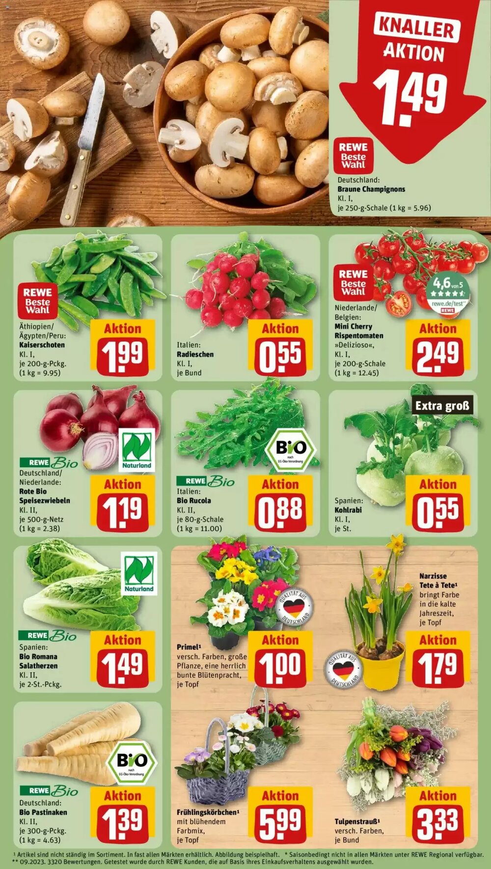 REWE Kaufpark Prospekt (ab 05.01.2026) zum Blättern - Seite 9