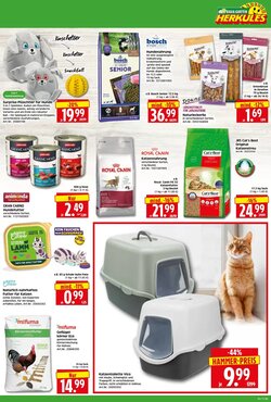 Herkules Baumarkt Prospekt (ab 05.01.2026) zum Blättern - Seite 11