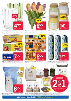 Rusta Prospekt (ab 10.01.2026) zum Blättern - Seite 7