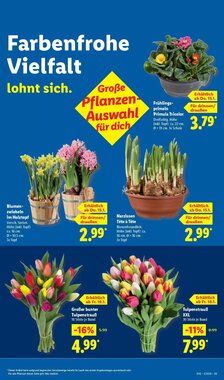 Lidl Prospekt (ab 11.01.2026) zum Blättern - Seite 17