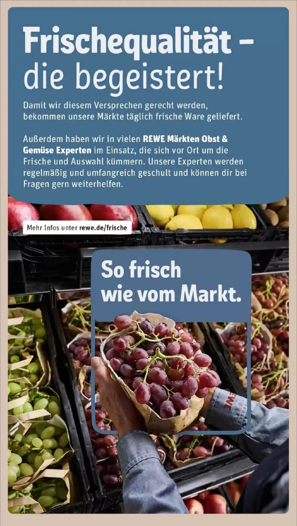 REWE Prospekt (ab 11.01.2026) zum Blättern - Seite 24