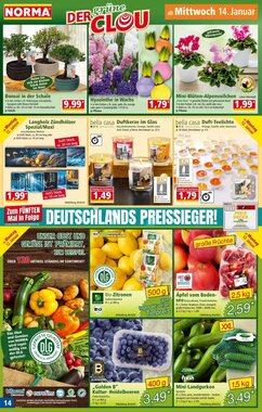 Norma Prospekt (ab 12.01.2026) zum Blättern - Seite 14